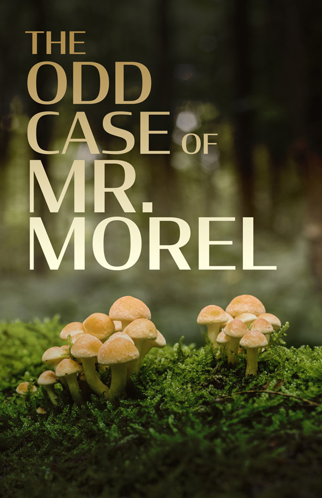 The Odd Case of Mr. Morel